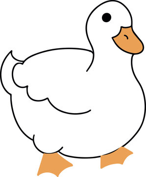Illustration of cute duck cartoon vector
