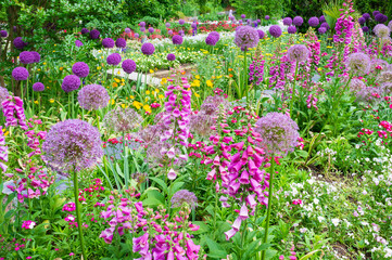 A variety of pink red and yellow flowers in a botanical garden