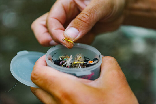 Hands pull a yellow fishing fly from a container of flies while fishing in the woods, macro