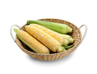 Wicker basket with fresh corn cobs on white background