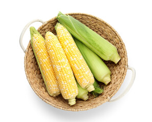 Wicker basket with fresh corn cobs on white background