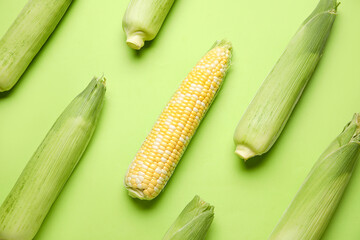 Fresh corn cobs on green background