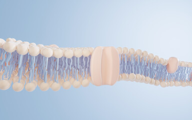 Cell membrane structure background, 3d rendering.