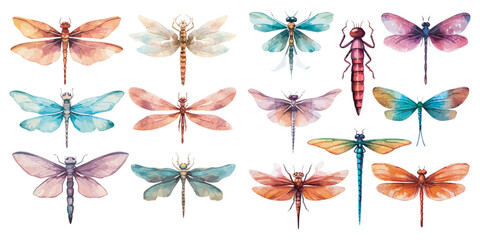 Watercolor dragonfly clipart for graphic resources - obrazy, fototapety, plakaty