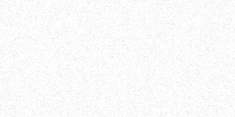 White paper texture background and terrazzo flooring texture polished stone pattern old surface marble background. Monochrome abstract dusty worn scuffed background.