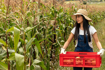 mujer trabajando mirando a su costado en un campo sembrado con maíz 