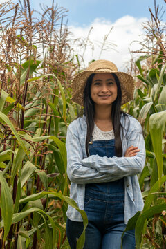 Retrato de granjera frente a su plantaci&oacute;n de ma&iacute;z dulce