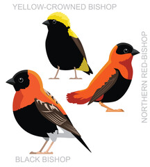 Cute Bird Red Bishop Set Cartoon Vector
