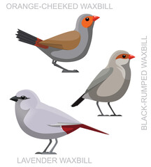 Cute Bird Waxbill Set Cartoon Vector
