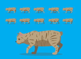 Animal Animation Sequence American Bobtail Cat Cartoon Vector
