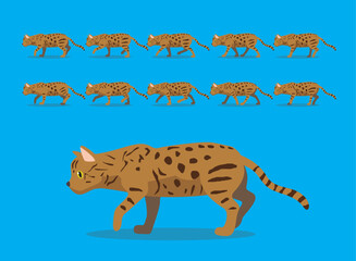 Animal Animation Sequence Cat Bengal Cartoon Vector
