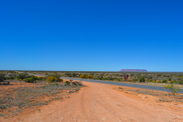 Panoramic view of Kata Tjuta / Mount Olga and the Western Desert.