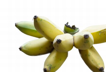 a photography of a bunch of bananas on a branch with a white background, there are a bunch of...