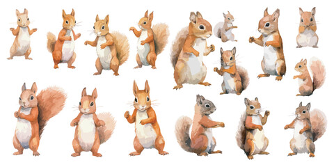 Watercolor Squirrel clipart for graphic resources © Dgillustration12u