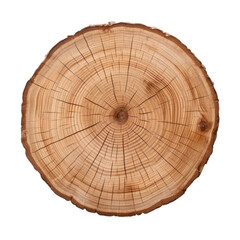 Fototapeta premium slice tree trunk isolated on transparent background cutout