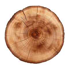 slice tree trunk isolated on transparent background cutout