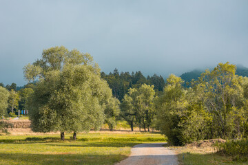 Fototapeta na wymiar Trees and roads next to the Kolpa banks, vegetation around the border river between slovenia and croatia.
