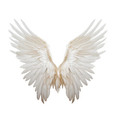 white angel wings isolated on transparent background cutout