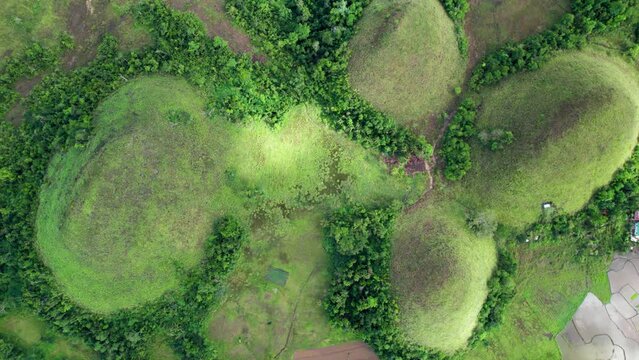 Les collines de chocolats (paysage de montagne d'herbe verte au milieu de la for&ecirc;t) vues du ciel sur l'ile de Bohol aux Philippines en Asie