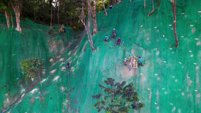 Ouvriers escaladant une falaise recouverte d'un filet vert sur un chantier de Bohol aux Philippines, Asie