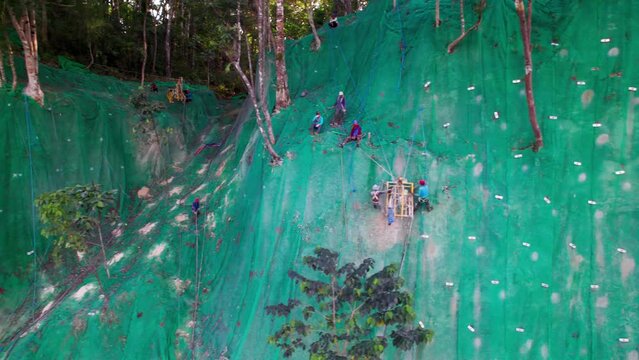 Ouvriers escaladant une falaise recouverte d'un filet vert sur un chantier de Bohol aux Philippines, Asie