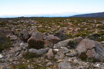 Fototapeta na wymiar beautiful landscape vista of Mount Wellington tourist landmark in Hobart Tasmania in Australia, with granite stones and scrubland nature