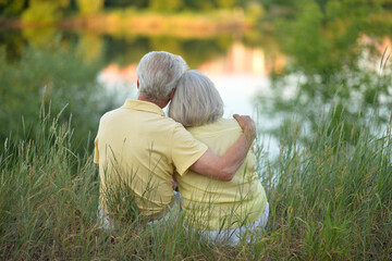 Naklejka na ściany i meble Elderly couple sits on the grass in summer. Rear view.