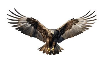 Obraz premium Image of flying eagle on white background. Bird. Wildlife Animals. Illustration, Generative AI.