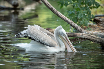 Wien - Tierpark Schönbrunn (2023-07)