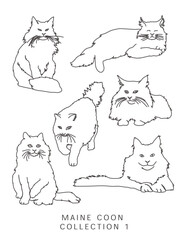 Maine Coon Cat Illustrations Outlines!
Collection 1