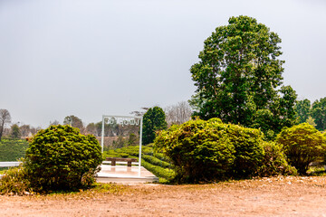 The natural background of the tea plantation and the bright sky surrounding it, the blur of sunlight hitting the leaves and the cool breeze blowing.