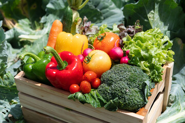 Wooden crate filled with fresh organic vegetables .