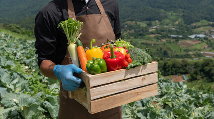 Asian man harvesting fresh vegetable from farm. leisure time togetherness concept. in sun light