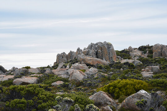 beautiful landscape vista of Mount Wellington tourist landmark in Hobart Tasmania in Australia,  with granite stones and scrubland nature