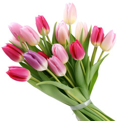 bouquet of tulips © SaraY Studio