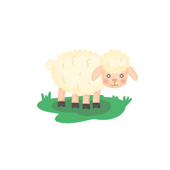 Sheep with grass