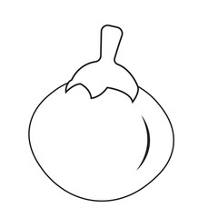 illustration of a tomato