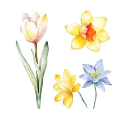 Fototapeta na wymiar flower botanical watercolor art