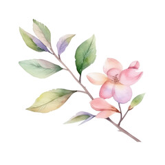 flower botanical watercolor art