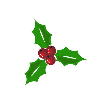 Christmas holly berry leaves clipart