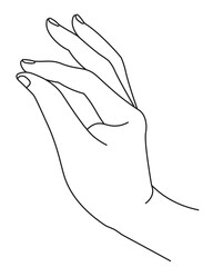 Fototapeta premium Elegant hand with thumb and index finger clasping
