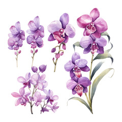 Obraz premium orchid flower set watercolor vector illustration.isolated white background. wedding invitation, print, sublimation, mug, tshirt, tumbler