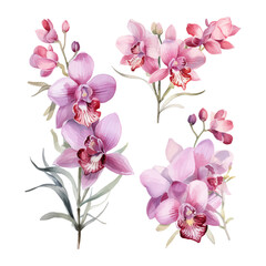 Naklejka na ściany i meble orchid flower set watercolor vector illustration.isolated white background. wedding invitation, print, sublimation, mug, tshirt, tumbler