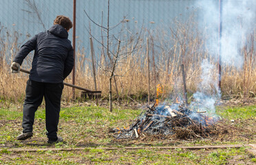 Burning dry grass in the spring garden. A man cleans the grass from fire