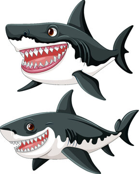 A cartoon illustration of a great white shark with big teeth, swimming and smiling isolated on a white background