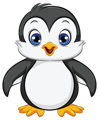 Obraz premium Cute Baby Penguin