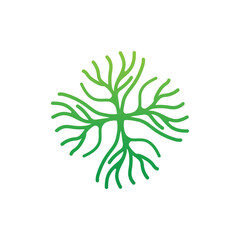 Coral Logo, Marine Plant Design Place Marine Animal, Seaweed Sea Vector