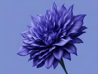 blue flower  Ganerated ai