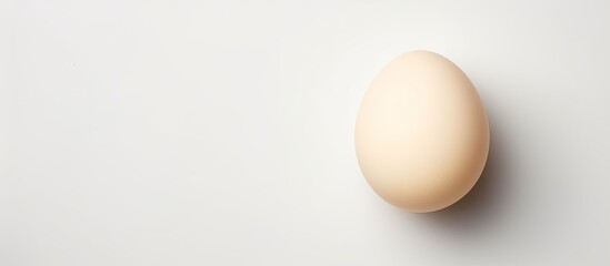 Photo of a white egg on a clean background with plenty of space for text or other design elements with copy space