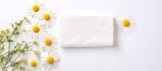 Photo of daisies and a napkin with plenty of copy space with copy space